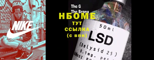 дживик Богородицк