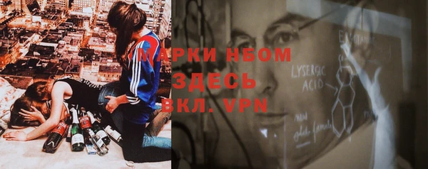молекула духа Богданович