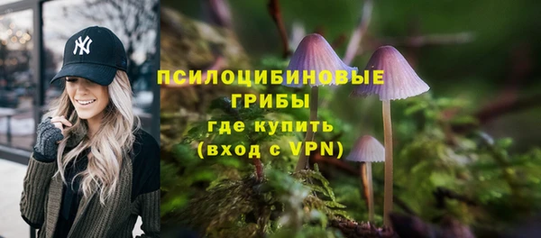 молекула духа Богданович