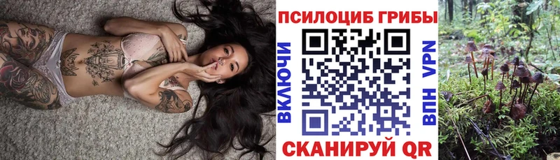 купить   Кропоткин  ссылка на мегу онион  Галлюциногенные грибы Cubensis 